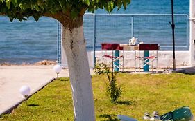 Kiko, The Coastline House